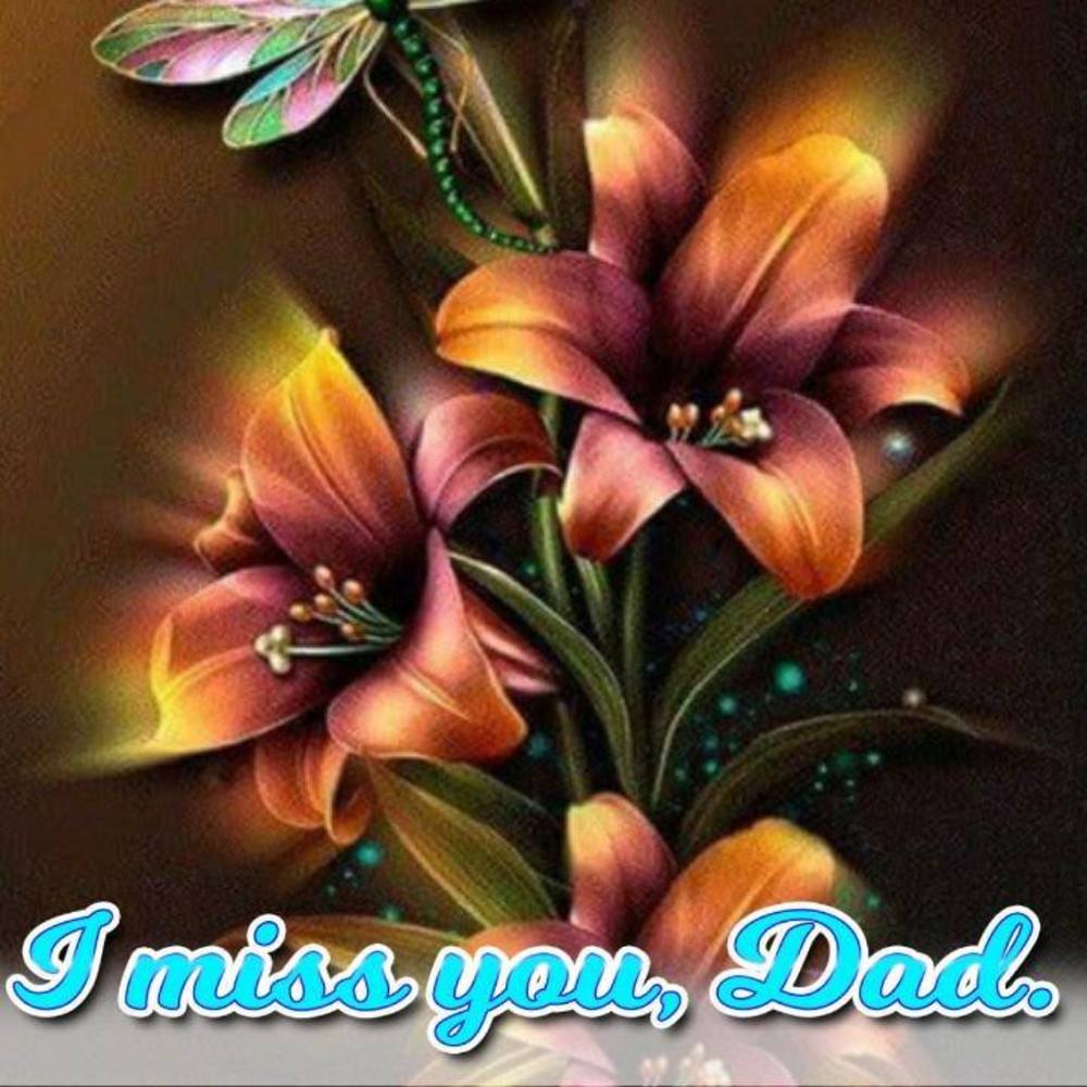 Meet your Posher, Shawn